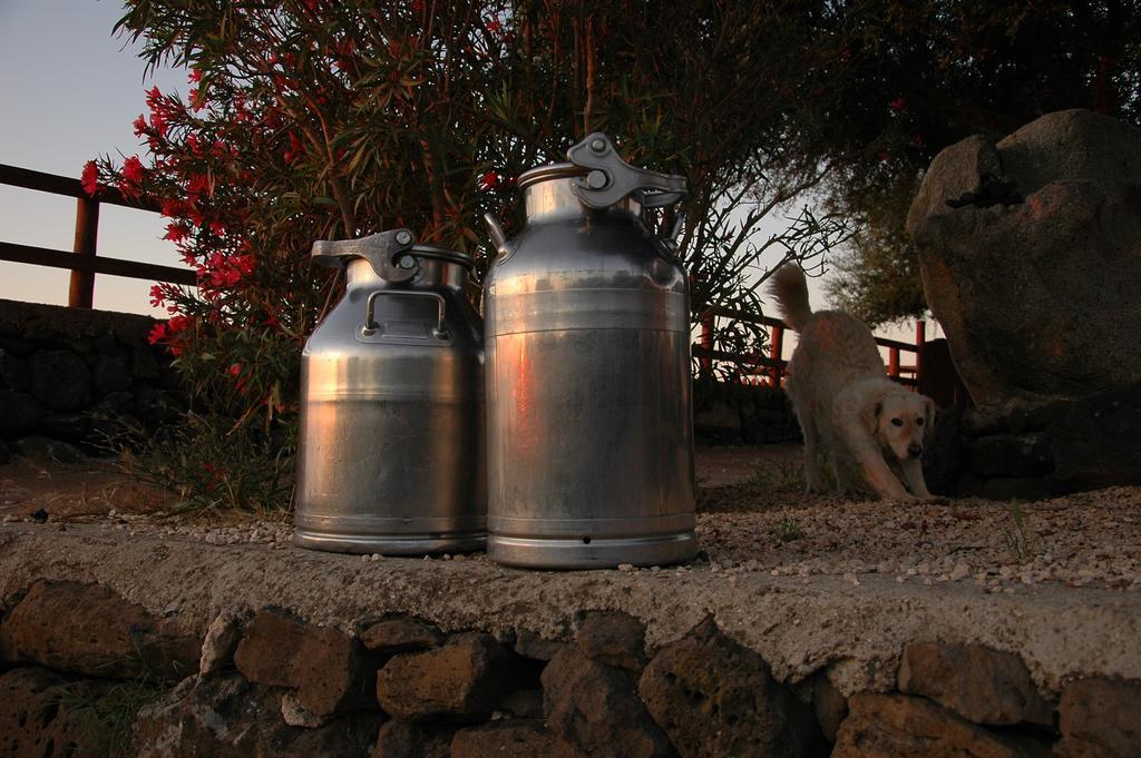 Agriturismo Codula Fuili カーラゴノネ エクステリア 写真