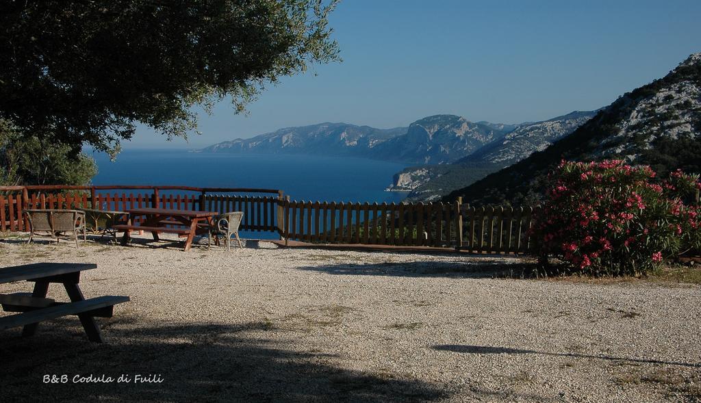 Agriturismo Codula Fuili カーラゴノネ 部屋 写真