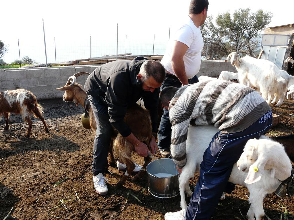 Agriturismo Codula Fuili カーラゴノネ エクステリア 写真