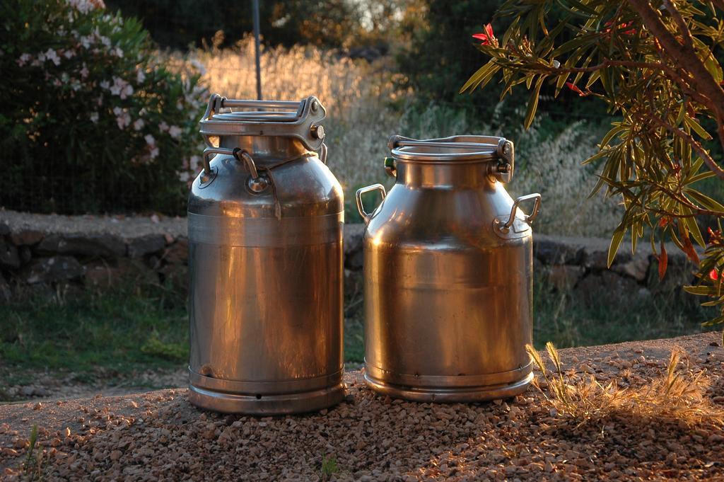 Agriturismo Codula Fuili カーラゴノネ エクステリア 写真