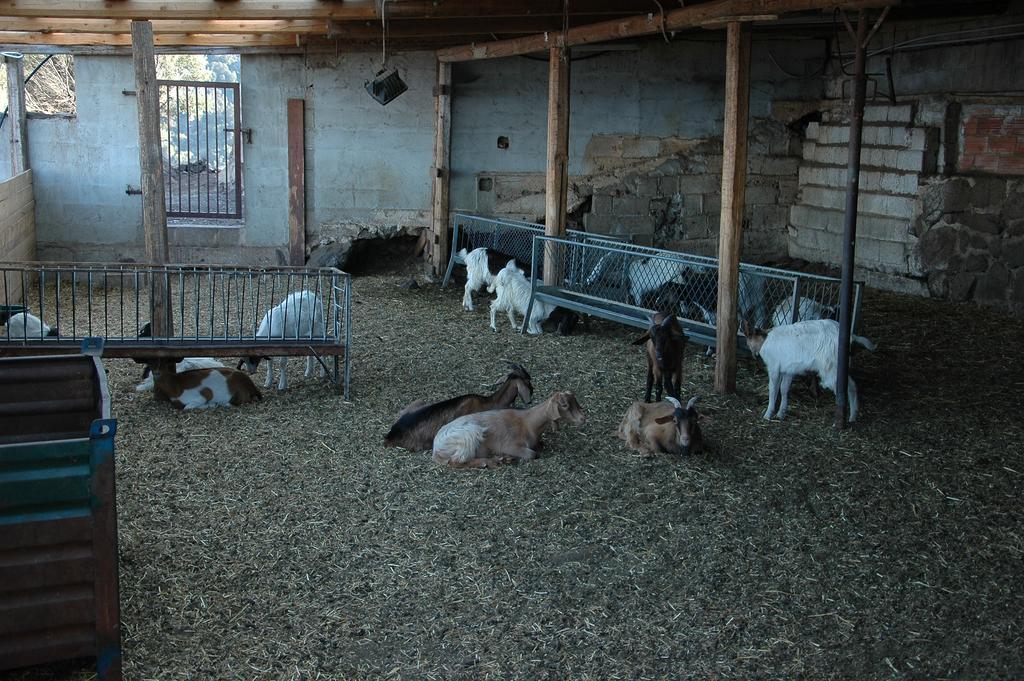 Agriturismo Codula Fuili カーラゴノネ エクステリア 写真