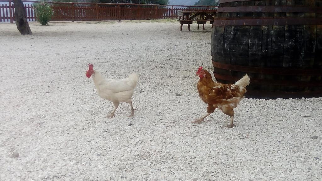 Agriturismo Codula Fuili カーラゴノネ エクステリア 写真