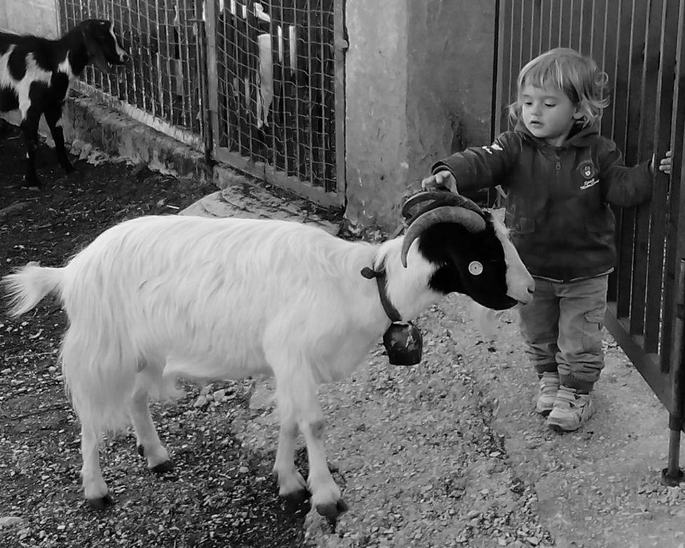 Agriturismo Codula Fuili カーラゴノネ エクステリア 写真
