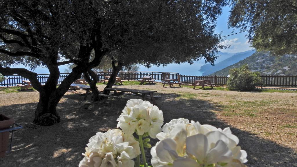 Agriturismo Codula Fuili カーラゴノネ エクステリア 写真